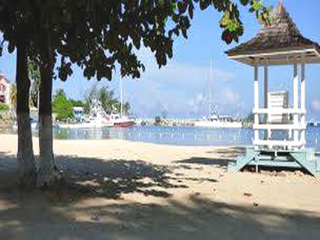 Turtle Beach Towers Apt 22 C - Ocho Rios Exteriör bild